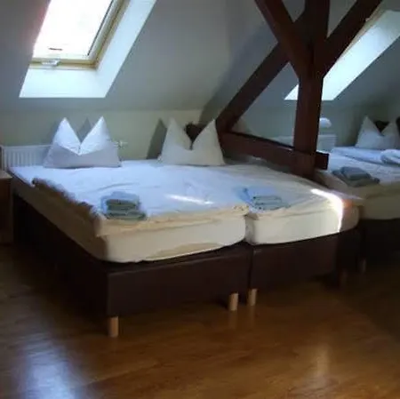 Guest house Unicat 3*